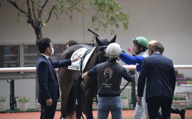 ヴェルトハイム　新馬戦パドック ヴェルトハイム