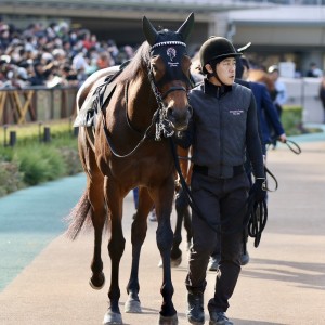 2024/2/10 雲雀S(3勝クラス)