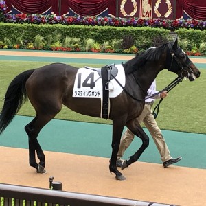 2021/5/22 3歳未勝利(牝)