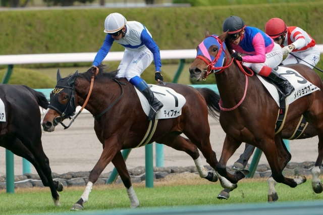 新馬戦 ティフォーザ