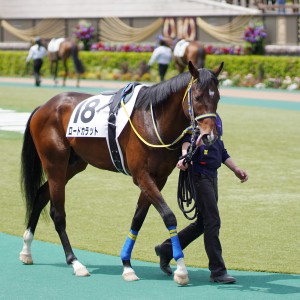 2021/4/24 3歳未勝利