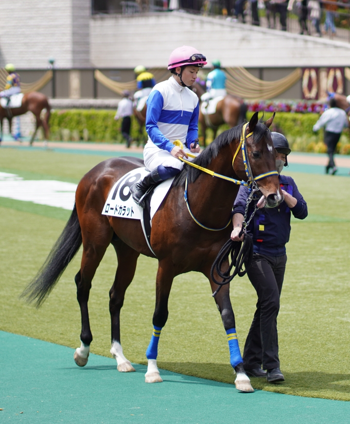2021/5/30 3歳未勝利 ロードカラット