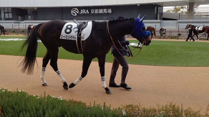 京都12R ４歳以上２勝クラス パドック ロードミッドナイト