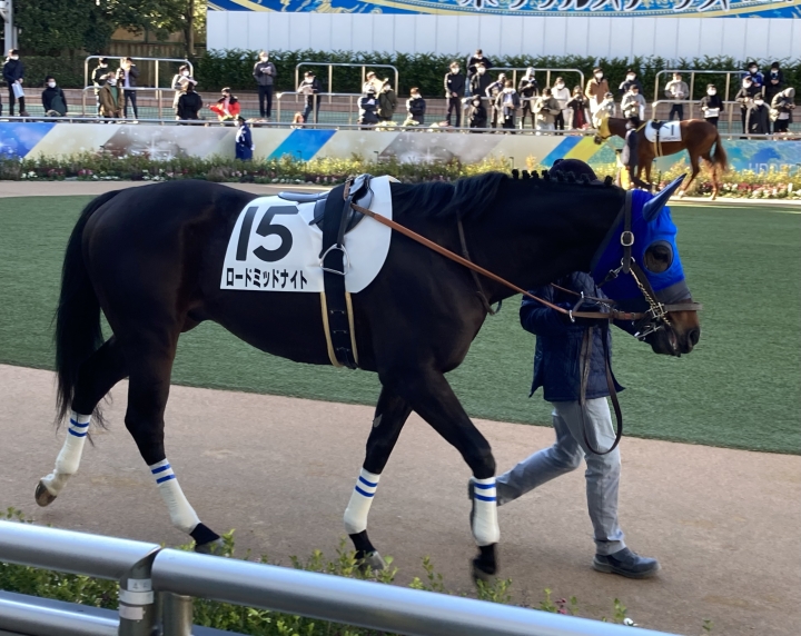 2021/12/28 3歳以上1勝クラス ロードミッドナイト
