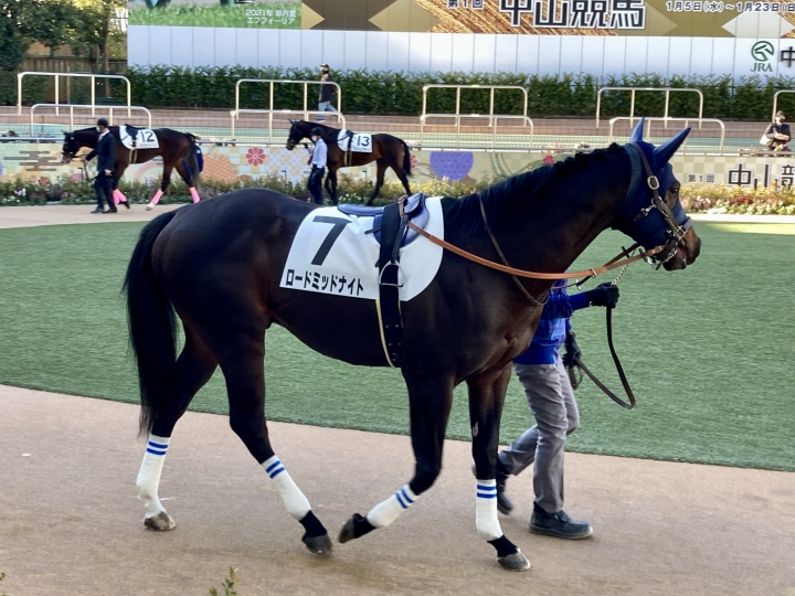 2022/1/16 4歳以上1勝クラス ロードミッドナイト