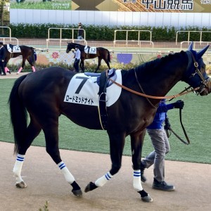 2022/1/16 4歳以上1勝クラス