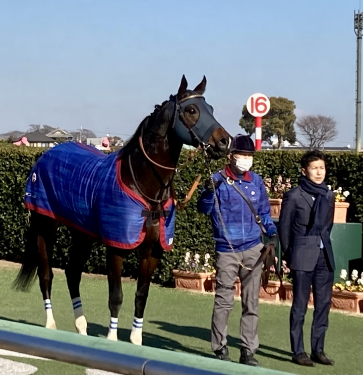 2022/1/16 4歳以上1勝クラス ロードミッドナイト