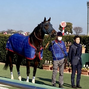 2022/1/16 4歳以上1勝クラス