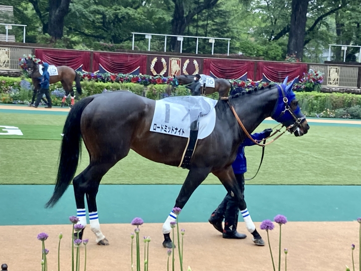 2022/5/1 4歳以上2勝クラス ロードミッドナイト