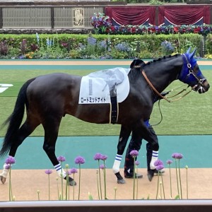 2022/5/1 4歳以上2勝クラス