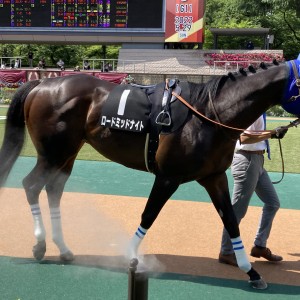 2022/5/28 富嶽賞(2勝クラス)