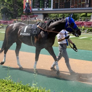 2022/5/28 富嶽賞(2勝クラス)