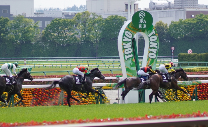 2021/4/24 新緑賞(1勝クラス) トゥーフェイス