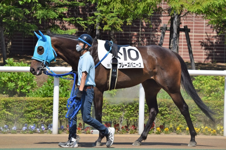 2021年6月 フレーズバニーユ