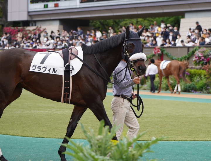 2023/5/14 4歳以上1勝クラス(牝) グラヴィル