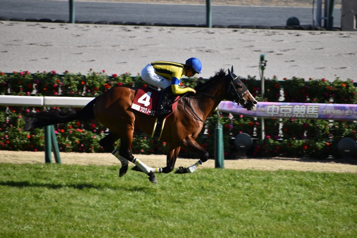 2024年3月 プログノーシス