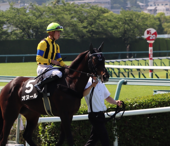 垂水ステークス_返し馬1 オヌール