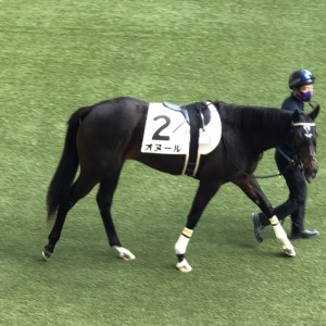 阪神2歳新馬戦