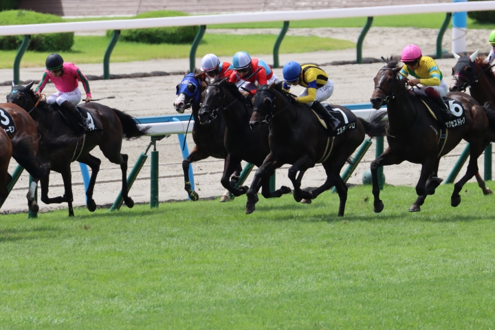 2024年7月 エルディアブロ