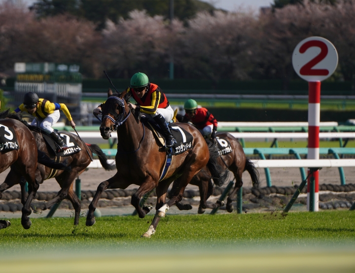 2023/4/1 安房特別(2勝クラス) エクランドール