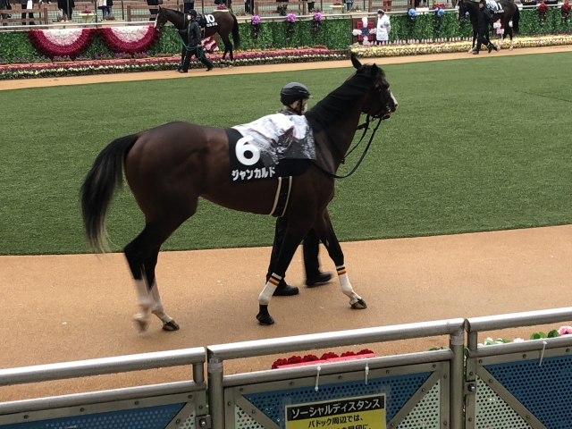 パドック5 ジャンカルド