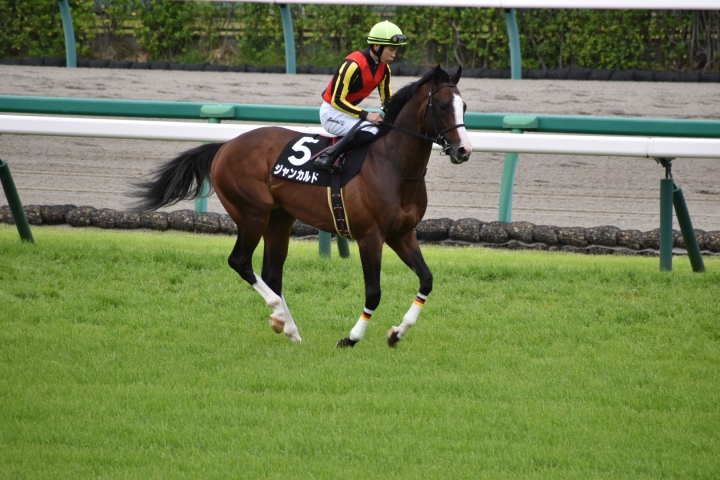 2021年4月 ジャンカルド