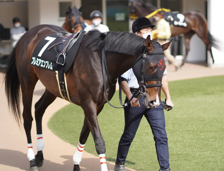 2022/3/13 房総特別(2勝クラス) プレミアエンブレム