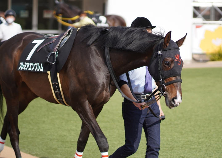 2022/3/13 房総特別(2勝クラス) プレミアエンブレム