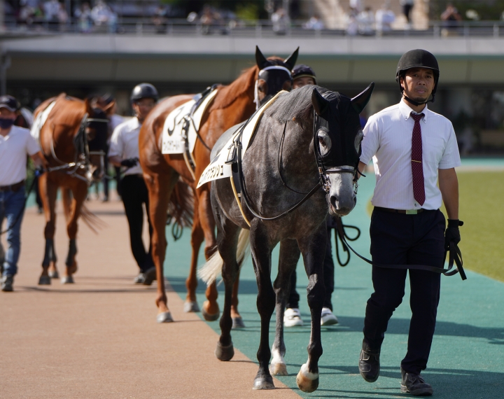 2022/10/23 3歳以上1勝クラス(牝) エレボアブランシュ