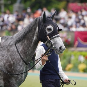 2023/5/14 4歳以上1勝クラス(牝)