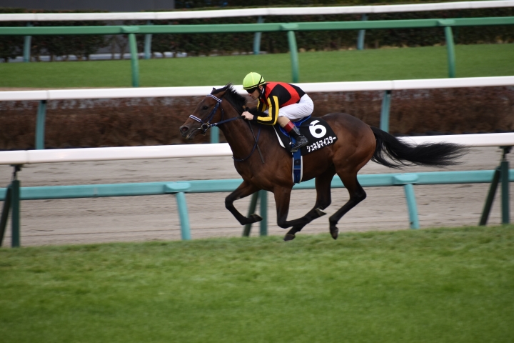 2020年12月 シュネルマイスター