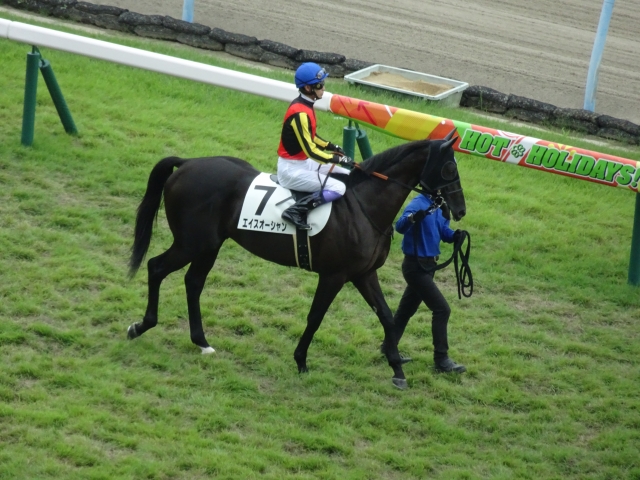 本馬場入場 エイスオーシャン