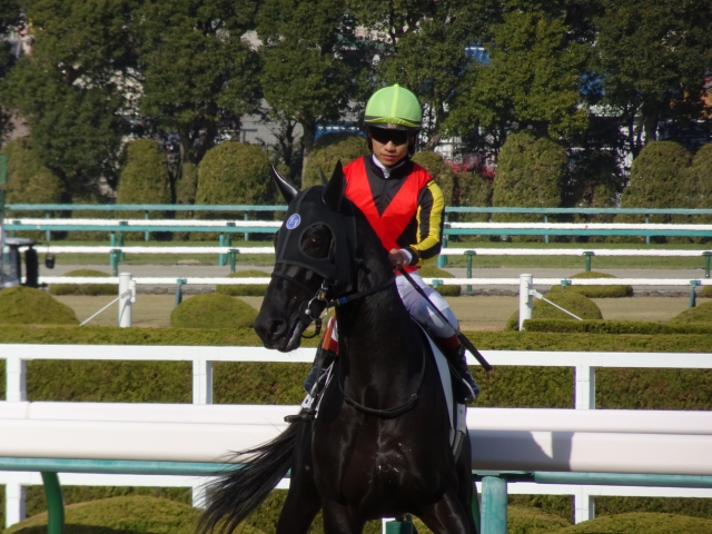 返し馬 エイスオーシャン