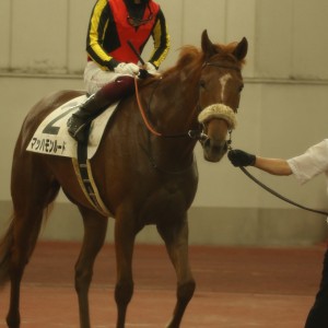 2022/5/21 4歳以上1勝クラス