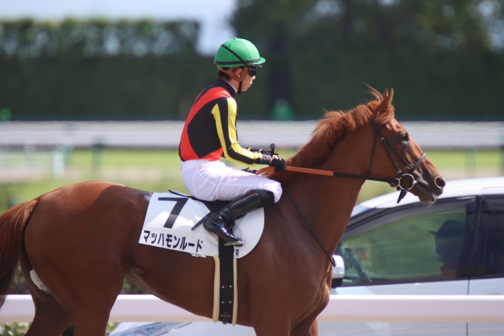 2022年9月 マッハモンルード