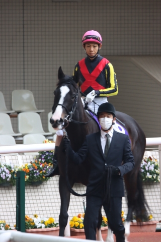 阪神JF インフィナイト