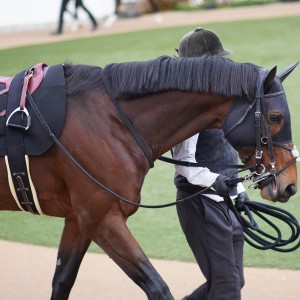 2022/1/10 迎春S(3勝クラス)