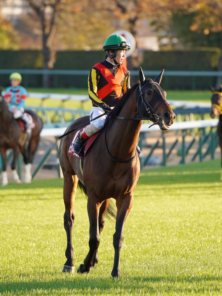 2023/12/2 ステイヤーズS(G2) セファーラジエル