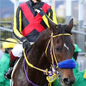 2022/12/11 3歳以上2勝クラス