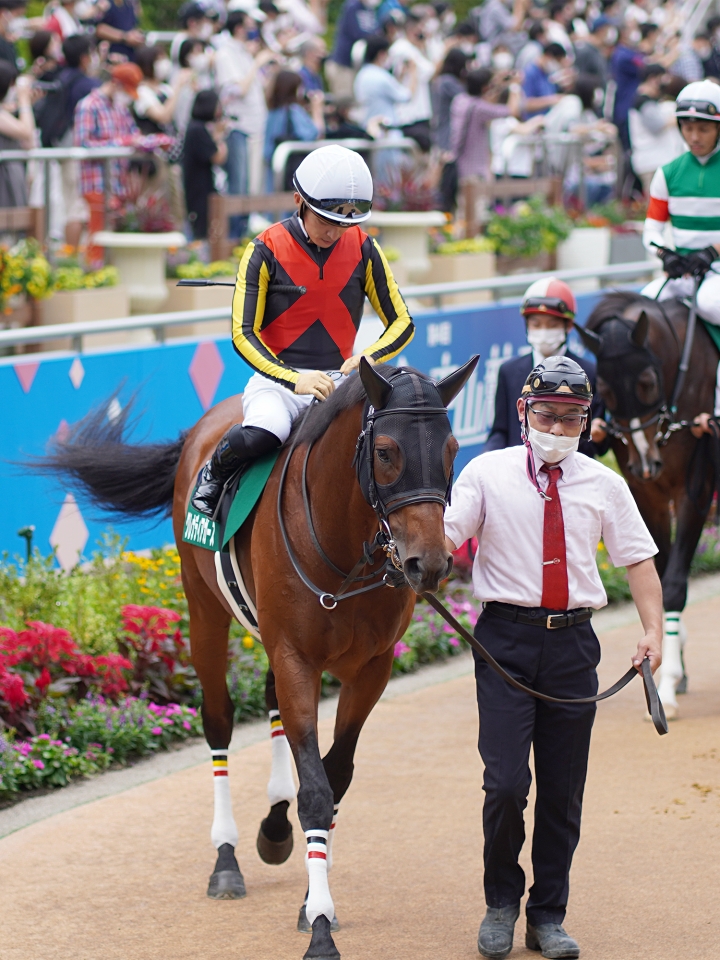 2021/9/12 京成杯オータムH(G3) グレナディアガーズ