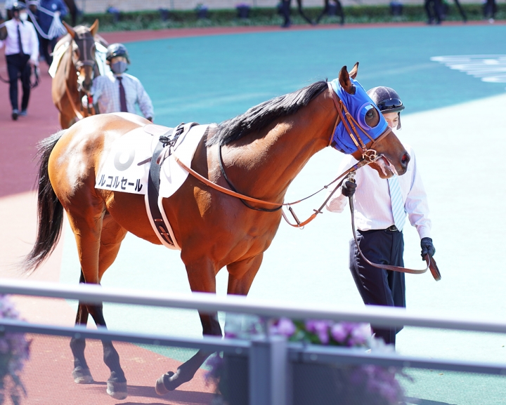 2021/3/14 3歳未勝利 ルコルセール