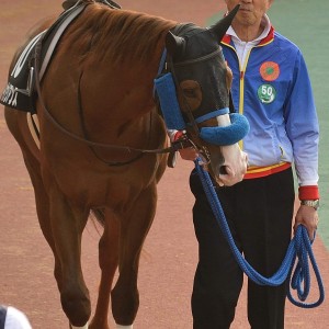 2023/1/9 鳥羽特別(2勝クラス)