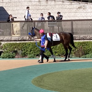 2022/10/29 3歳以上1勝クラス