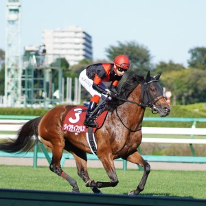 2021/9/20 セントライト記念(G2)