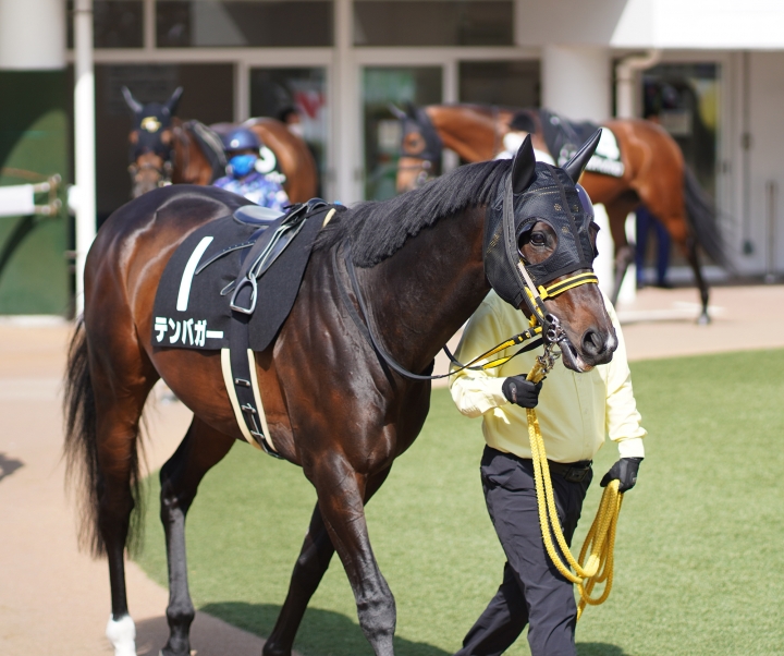 2022/3/21 隅田川特別(2勝クラス) テンバガー