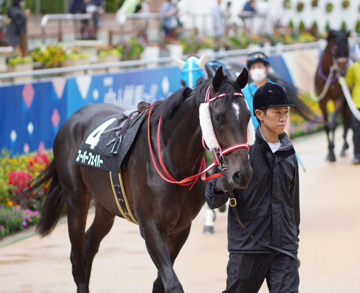 2021/9/18 松戸特別(2勝クラス) スーパーフェイバー
