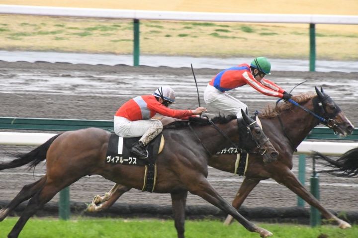 2021/3/21 フローラルウォーク賞(1勝クラス) ヴィアルークス