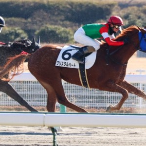 3歳未勝利