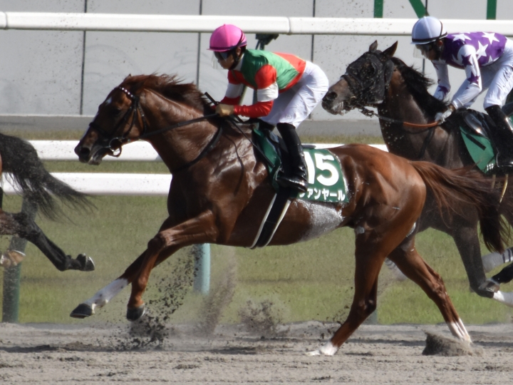 平安S１周目 ヴァンヤール