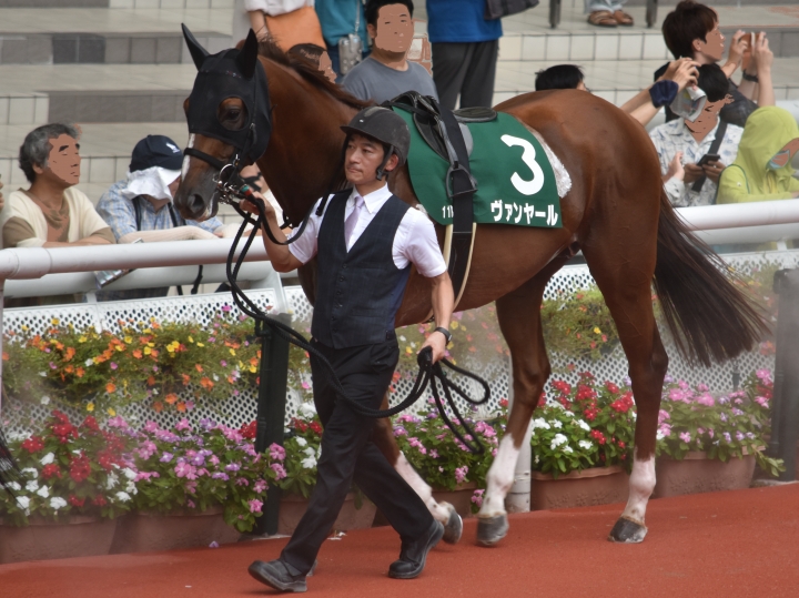 シリウスSパドック ヴァンヤール